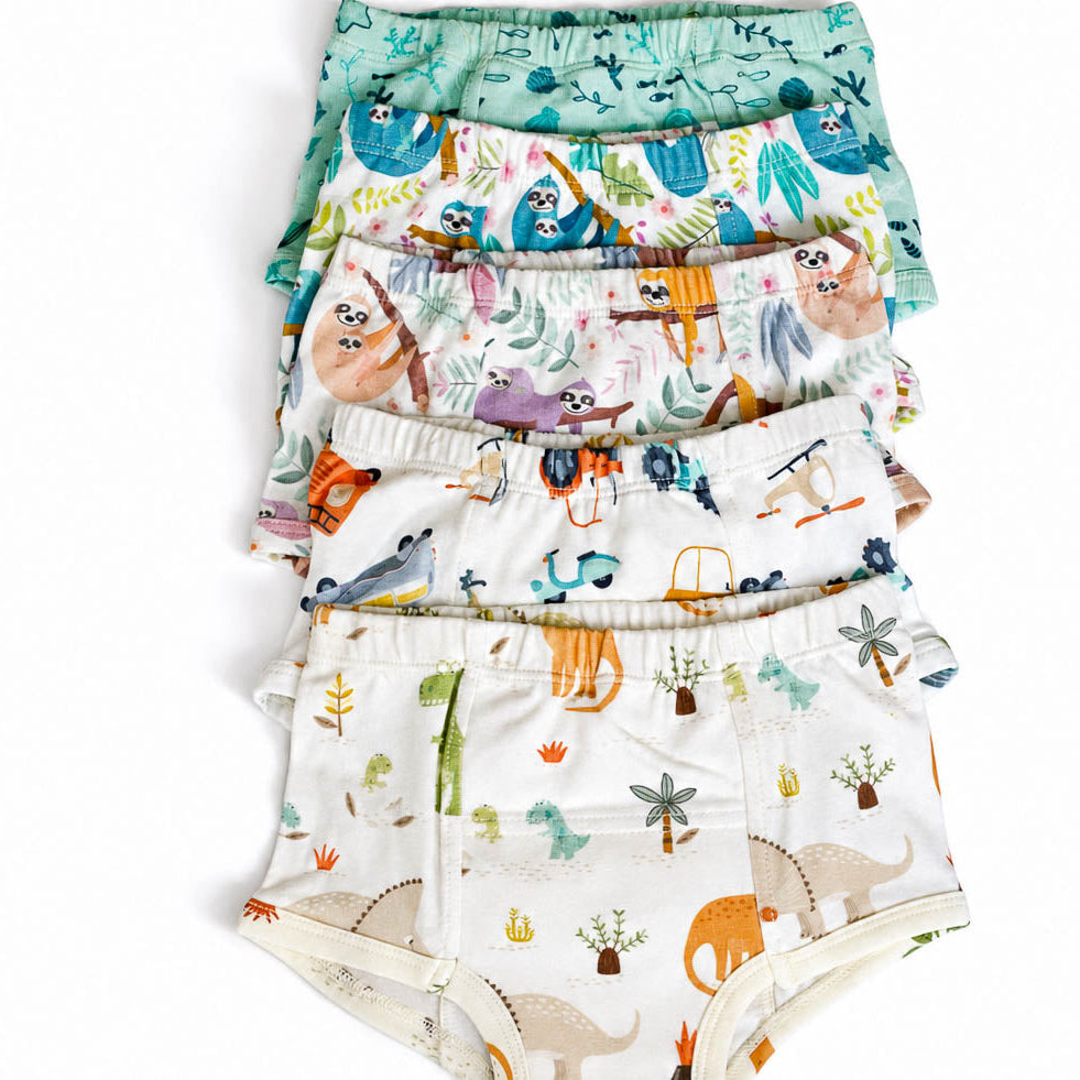 Organic set of potty training pants, dinos, vintage cars, sloths