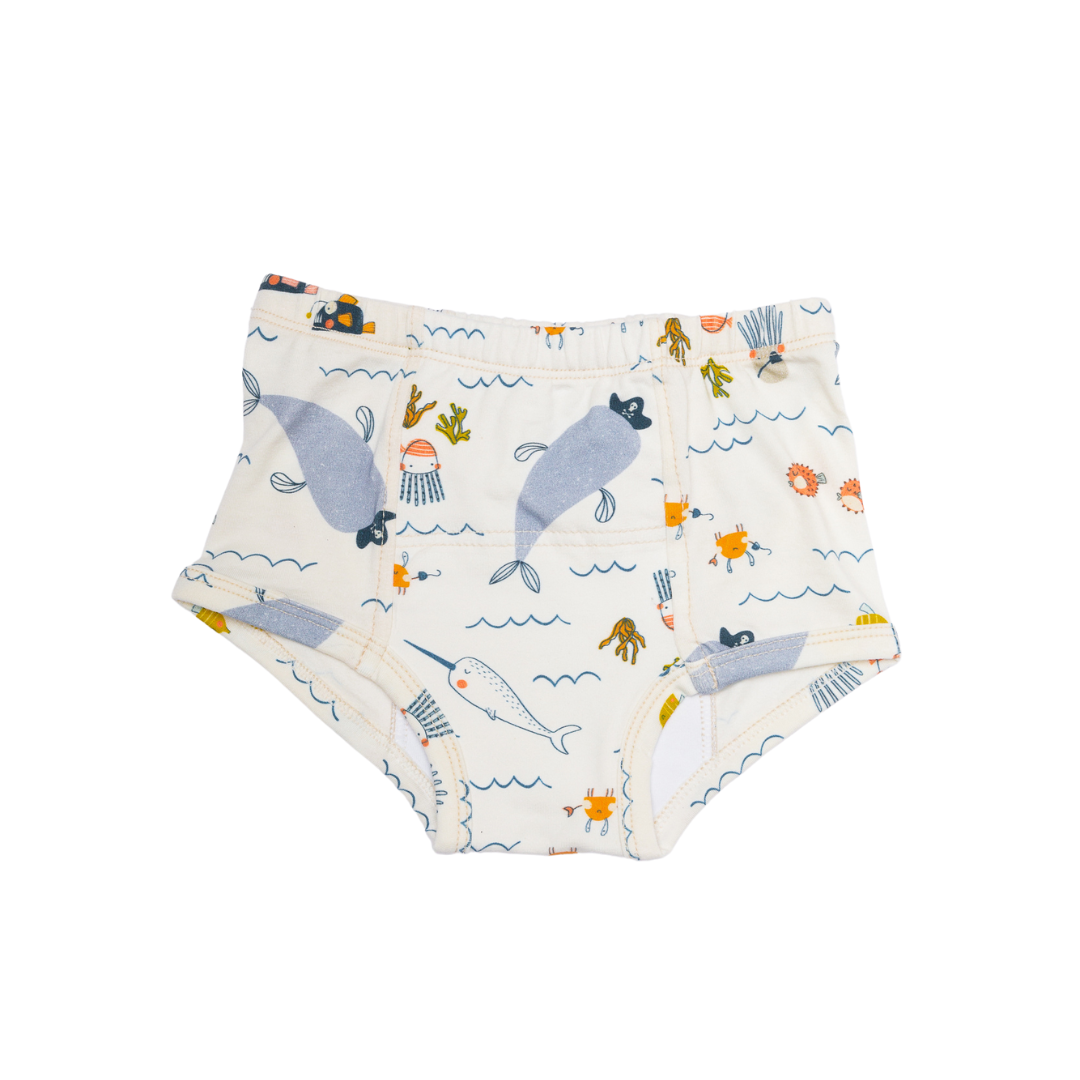  Potty Training Underpants