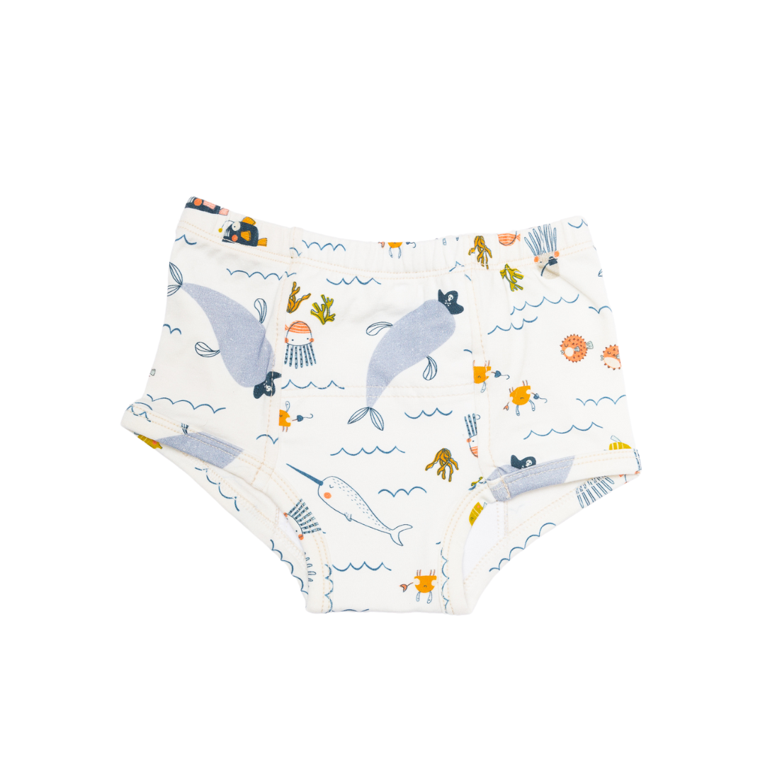  Potty Training Underpants