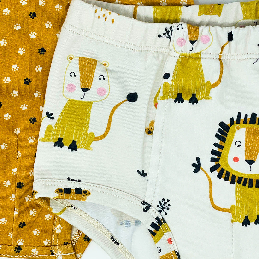 Two Classic Briefs Lions
