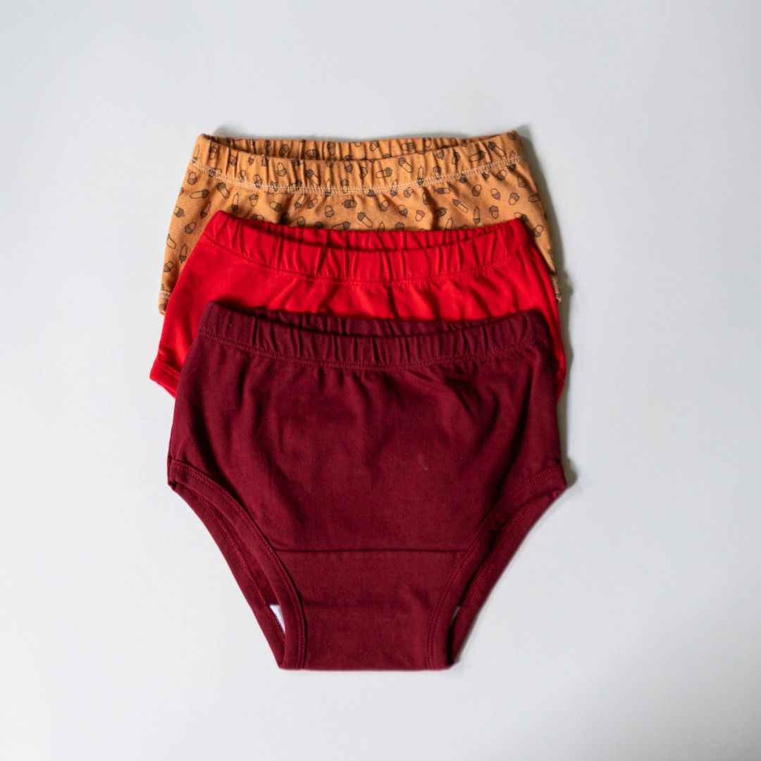 Organic Cotton Undies for Girls (Size 4)