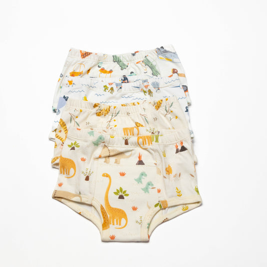 Dinosaur Organic Potty training underwear (4 pack)