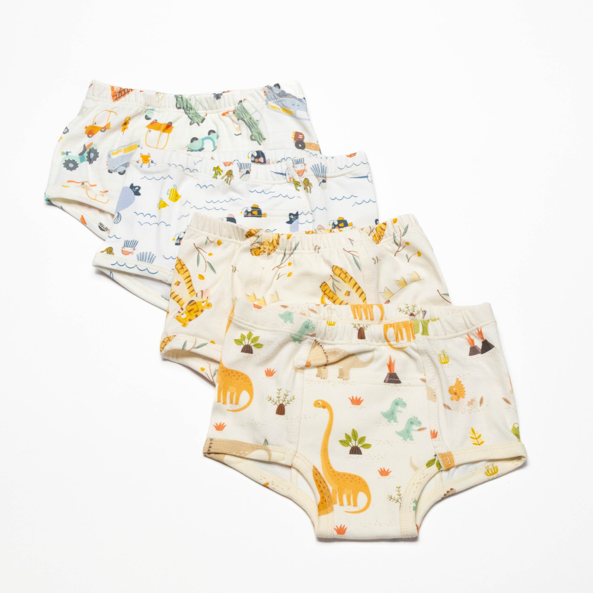Dinosaur Organic Potty training underwear (4 pack)