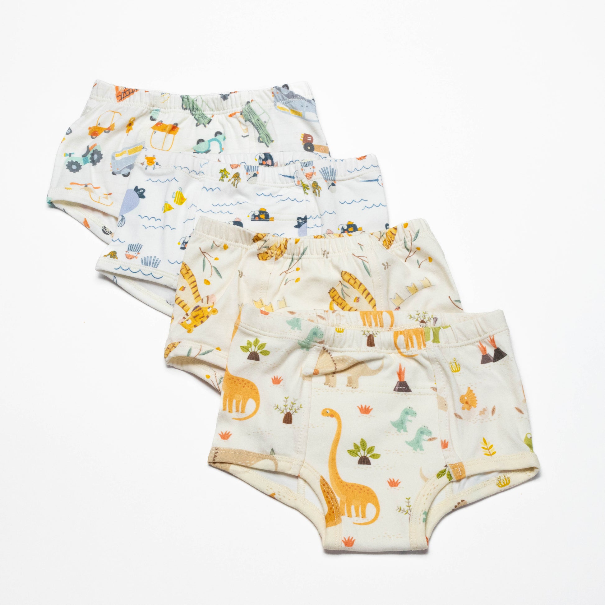 Dinosaur Organic Potty training underwear (4 pack)