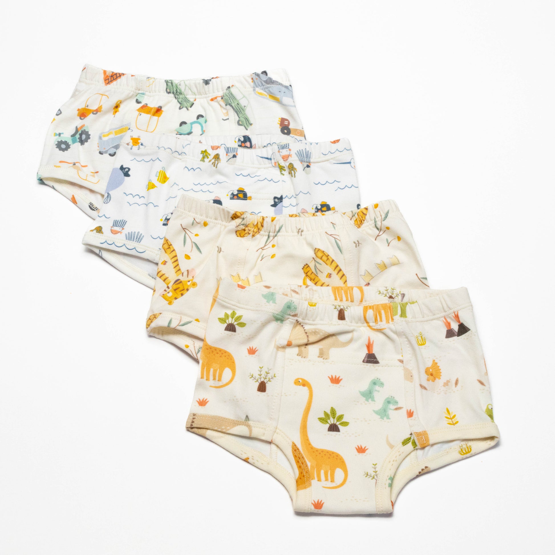 Dinosaur Organic Potty training underwear (4 pack)