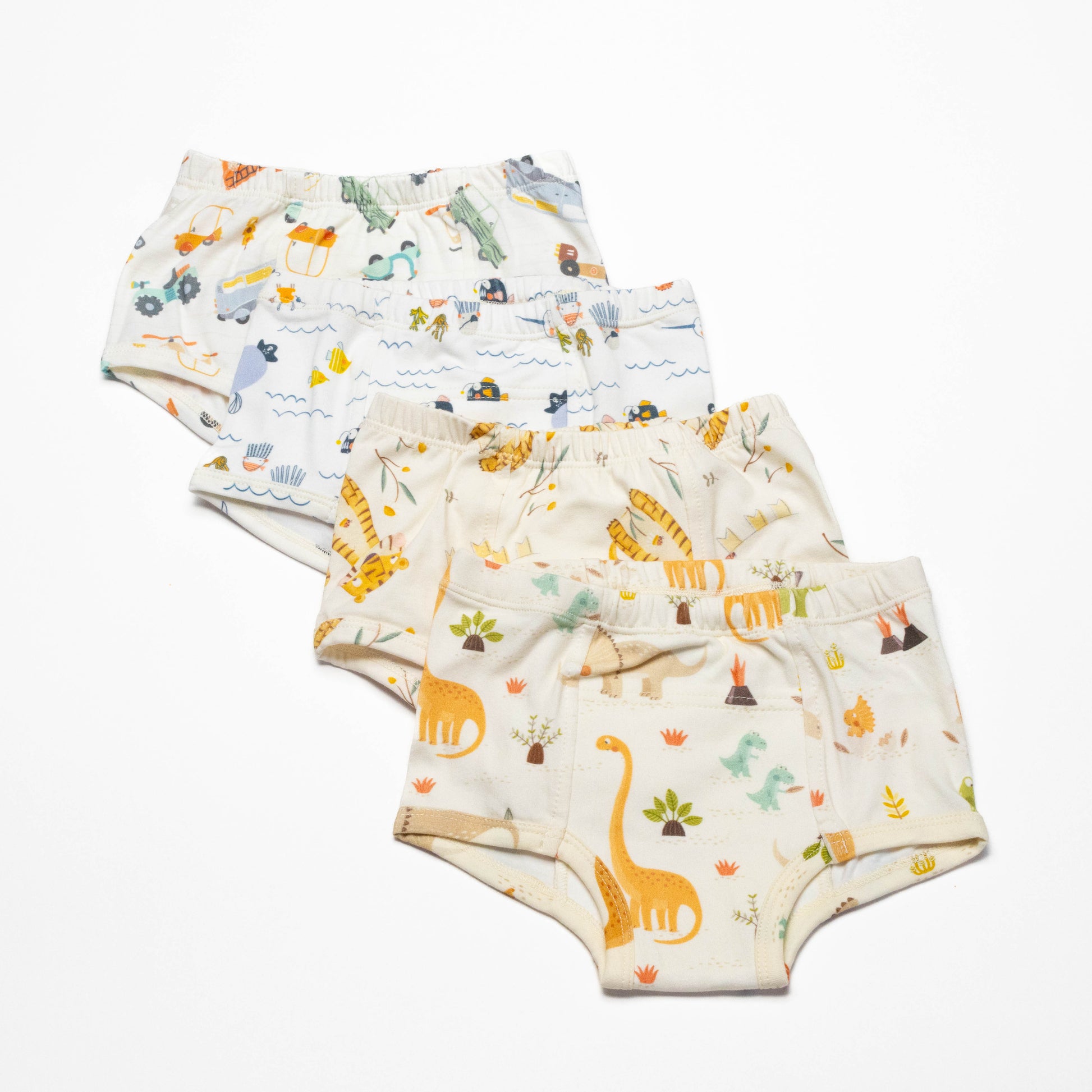 Dinosaur Organic Potty training underwear (4 pack)