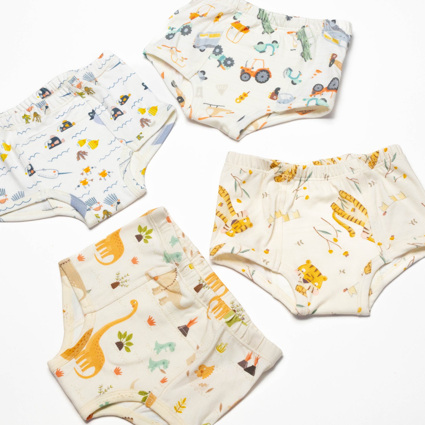 Dinosaur Organic Potty training underwear (4 pack)