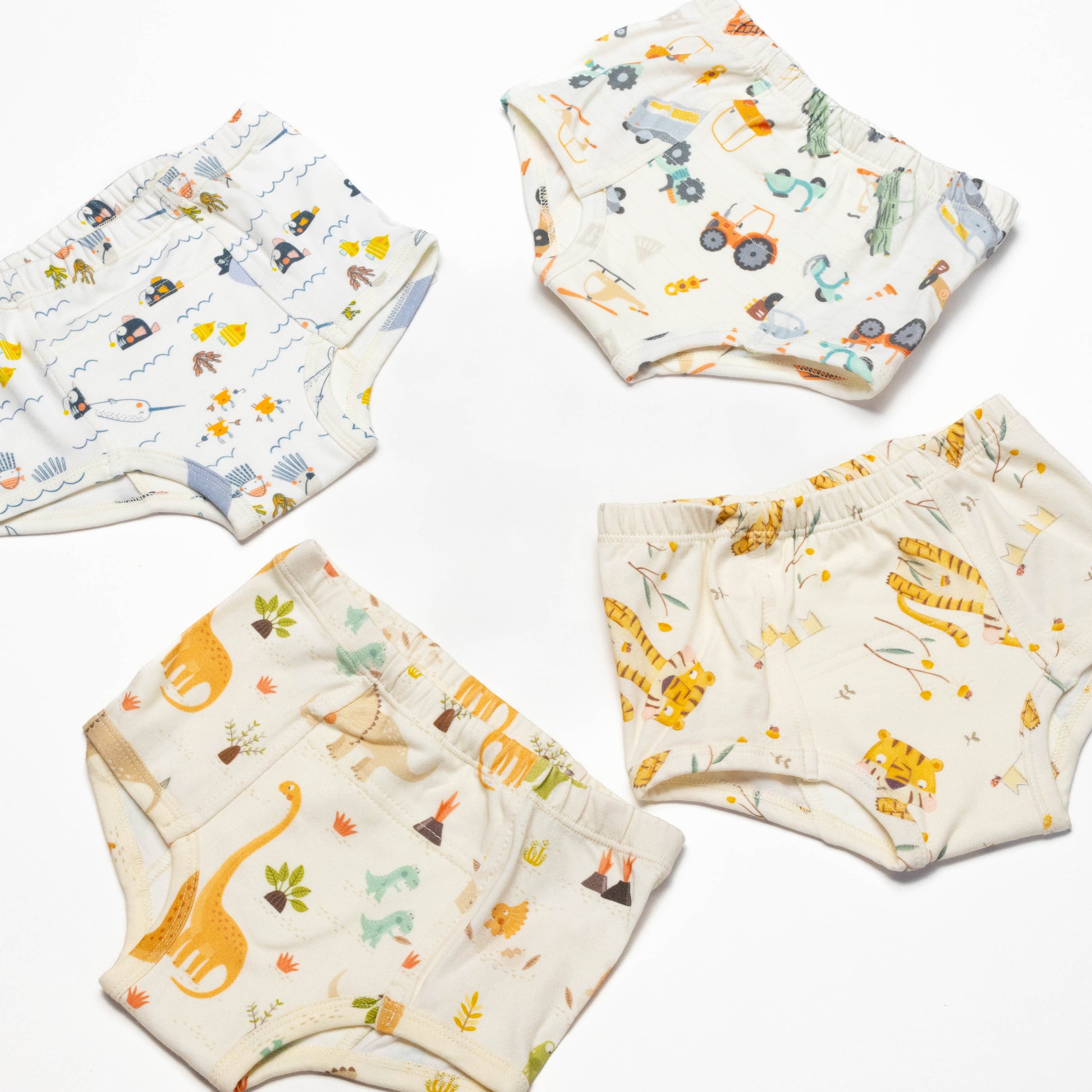 Dinosaur, cars, Organic Potty training underwear (4 pack)