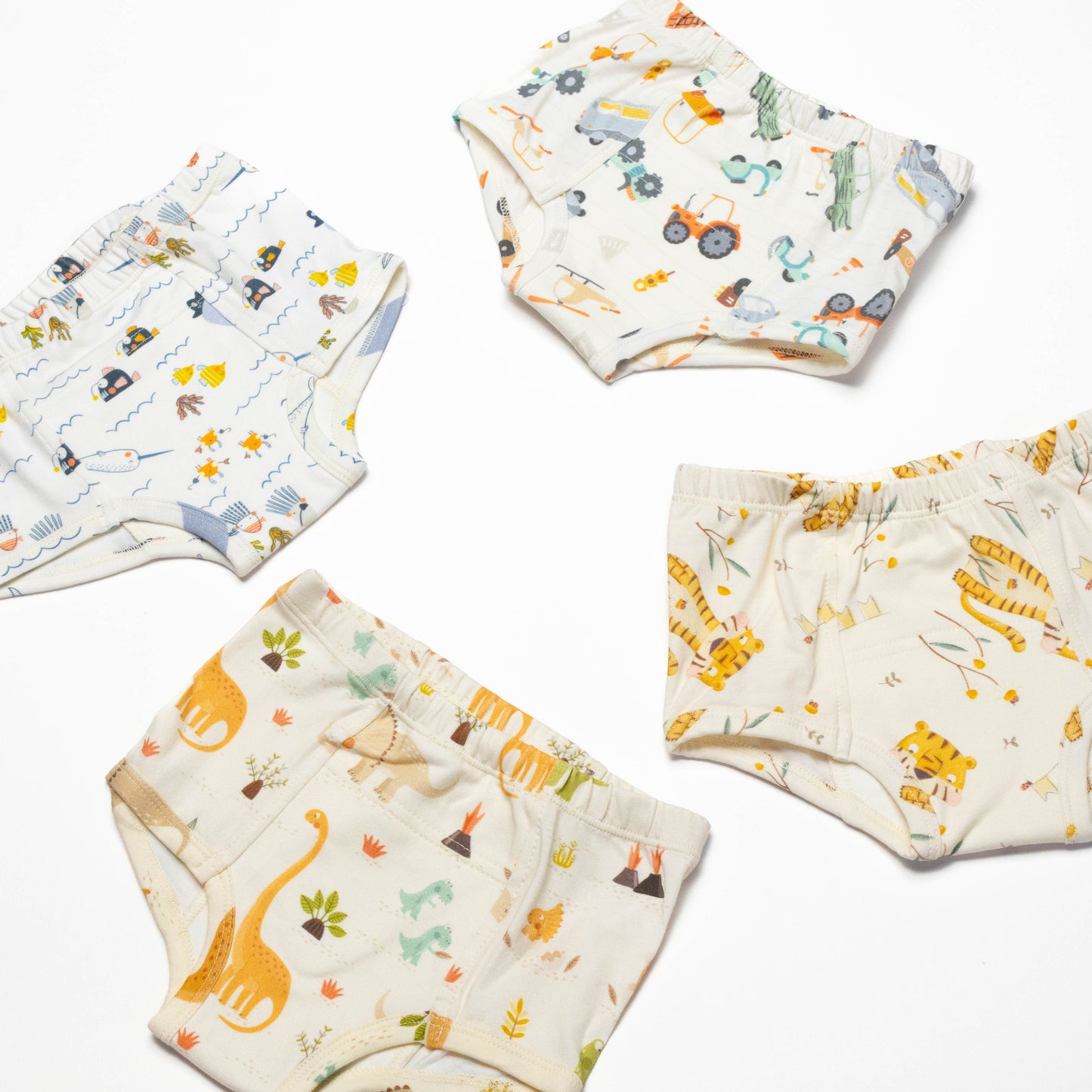 Dinosaur Organic Potty training underwear (4 pack)