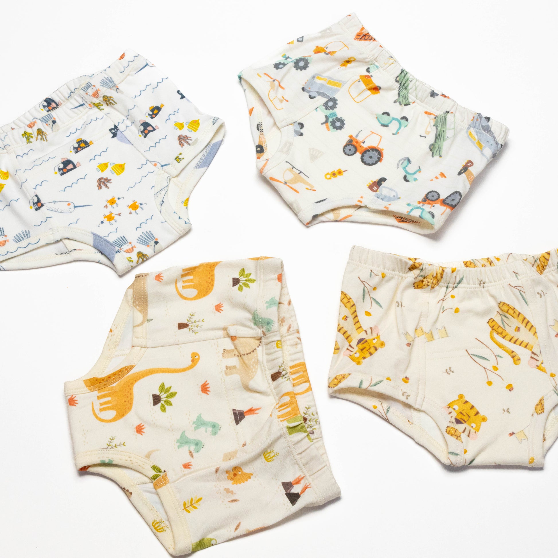 Dinosaur Organic Potty training underwear (4 pack)