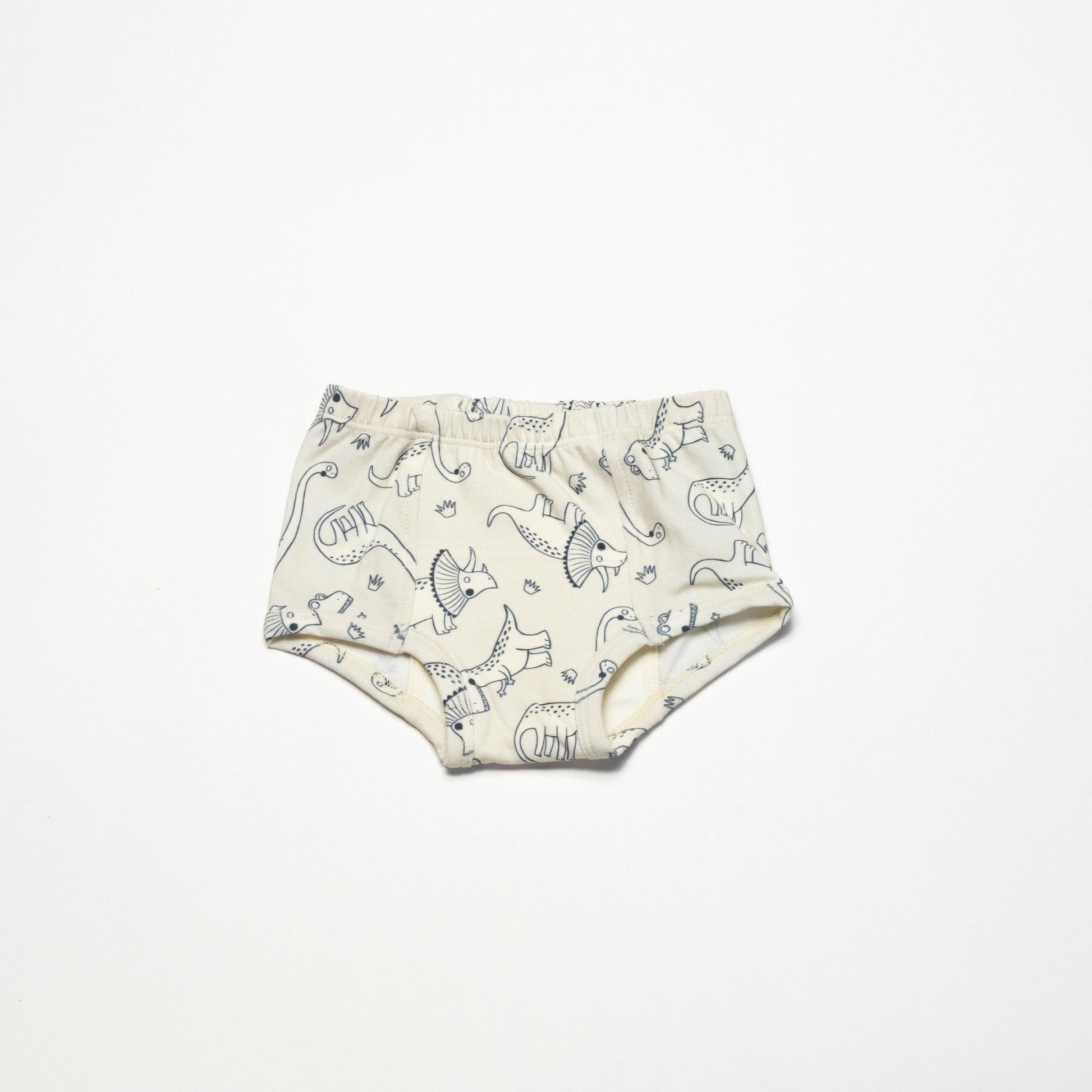 Organic Potty Training Underwear with dinosaurs prints on a white background