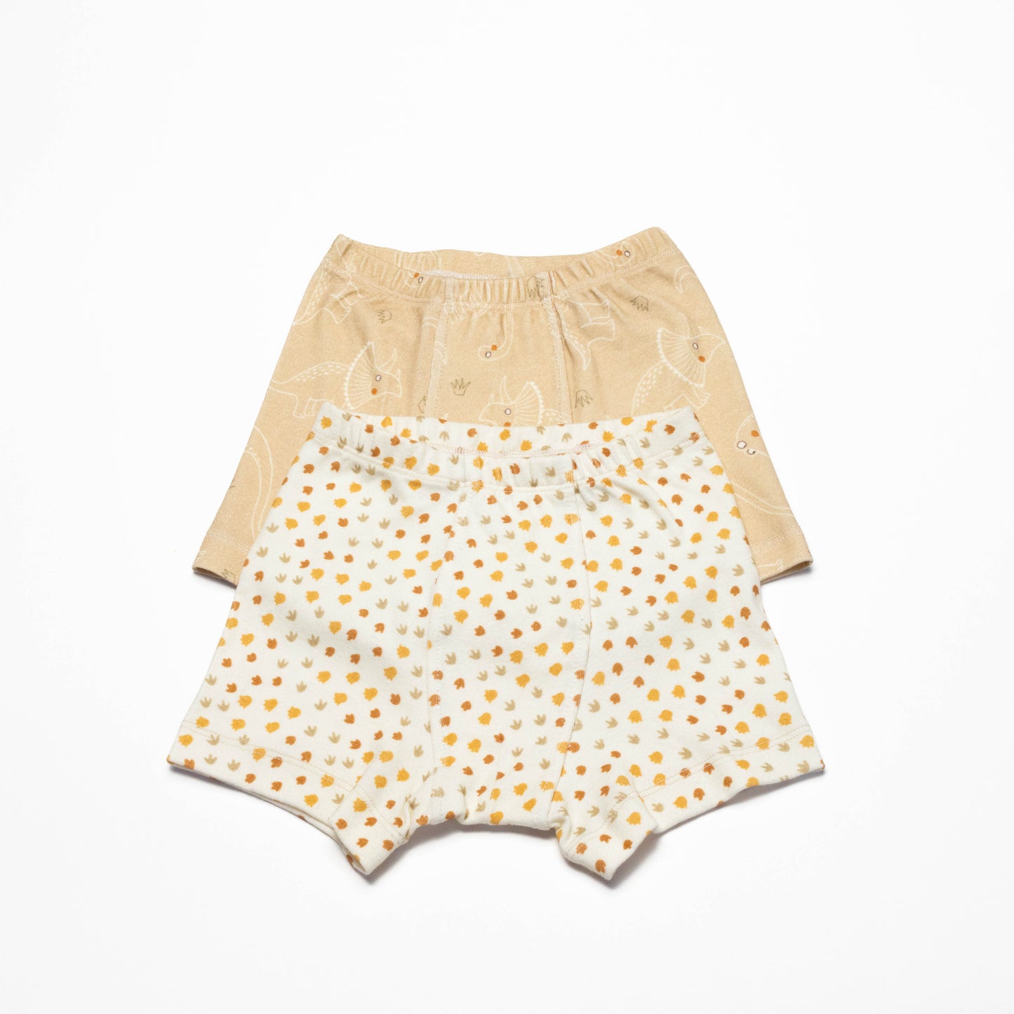 Pair of Organic Boxer Briefs with Dinosaurs and Dino's print  on a white background