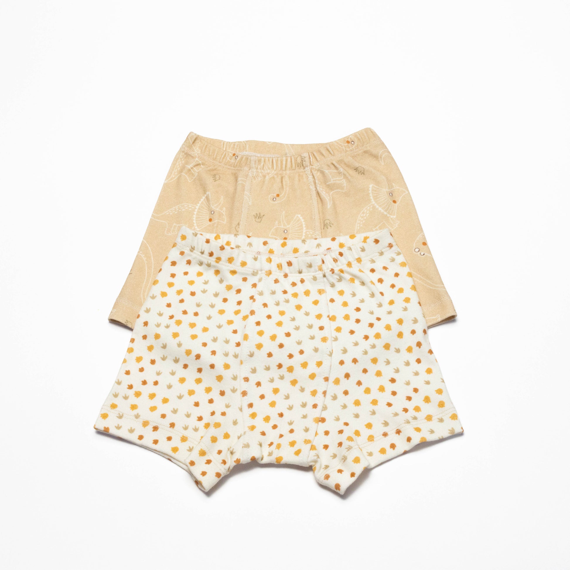 Pair of Organic Boxer Briefs with Dinosaurs and Dino's print  on a white background