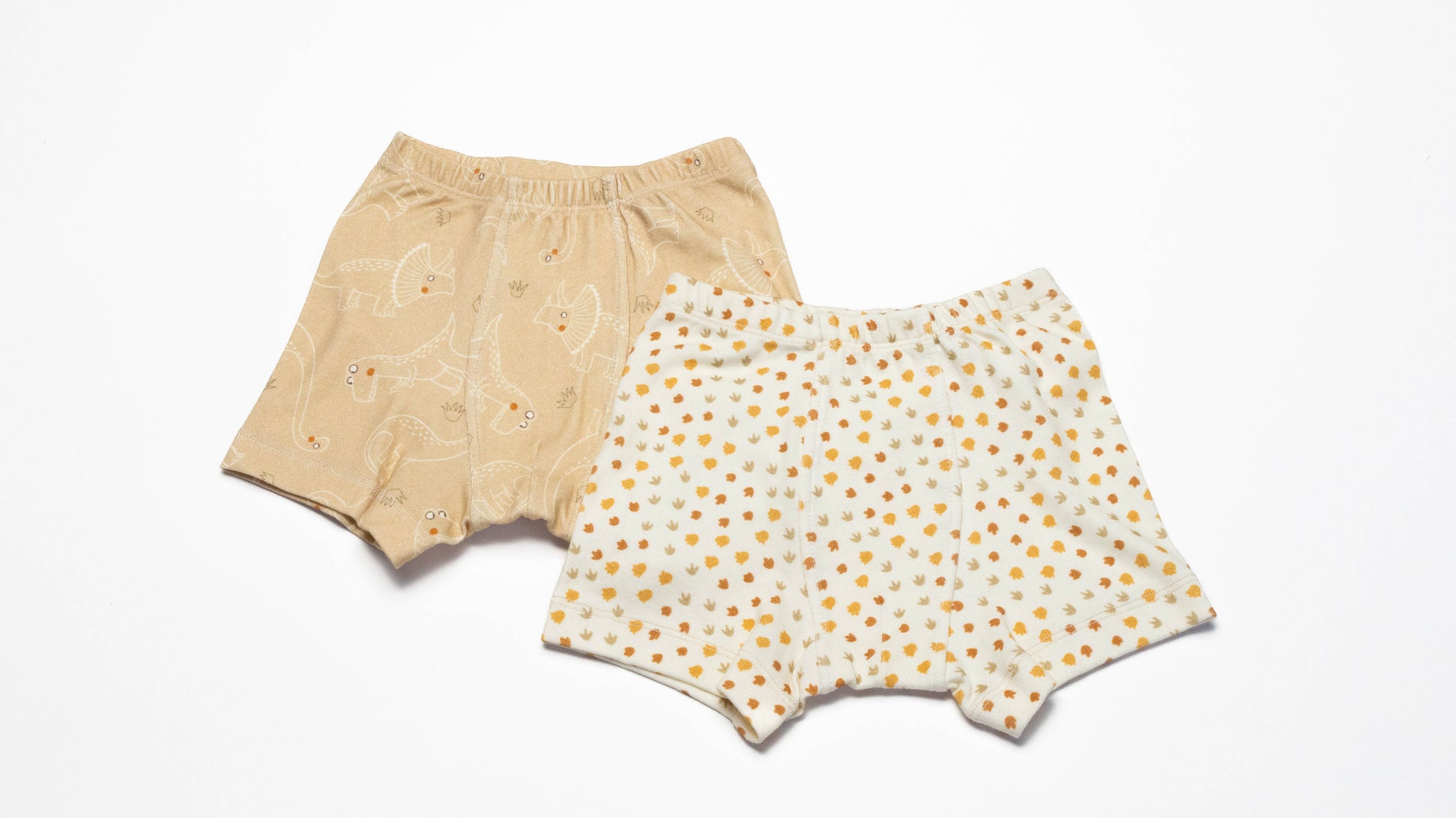 Pair of Organic Boxer Briefs with Dinosaurs and Dino's print  on a white background