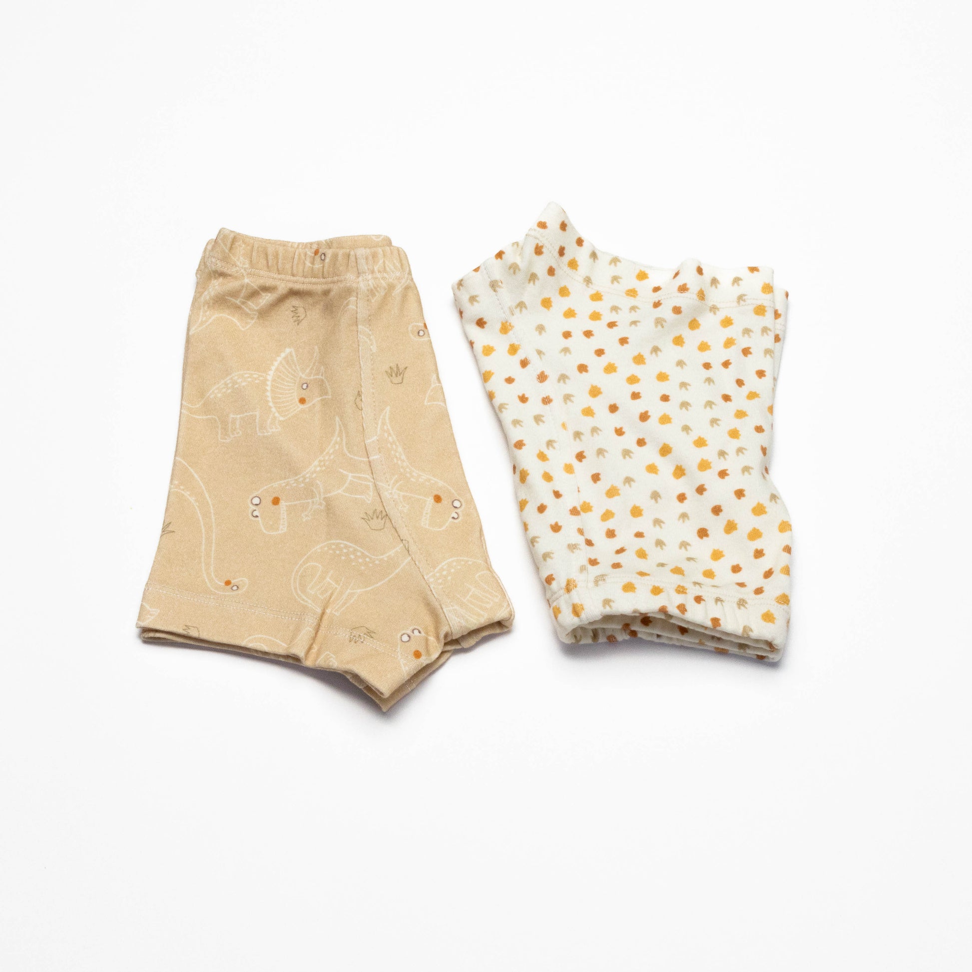 Pair of Organic Boxer Briefs with Dinosaurs and Dino's print  on a white background