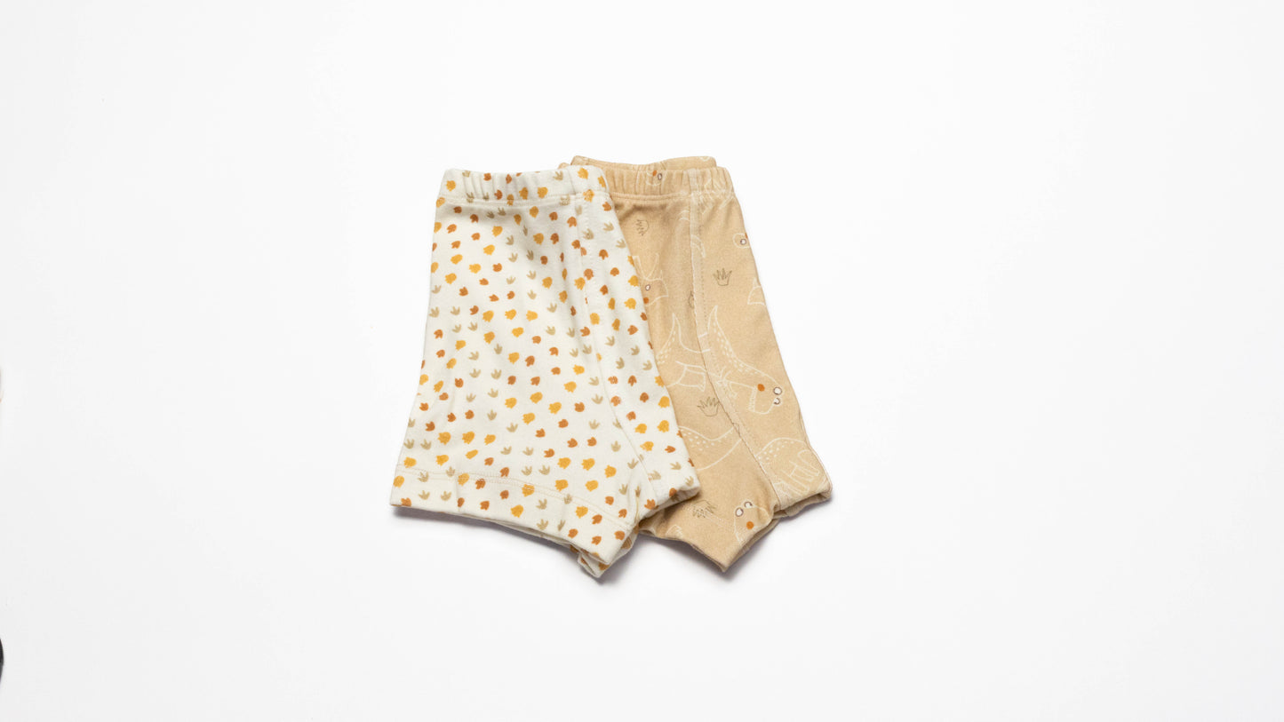 Pair of Organic Boxer Briefs with Dinosaurs and Dino's print  on a white background