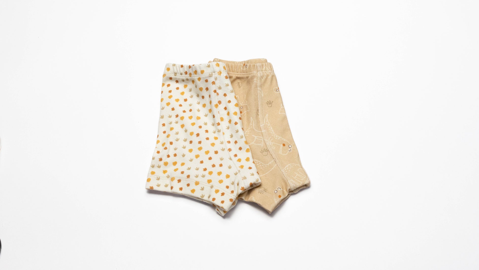 Pair of Organic Boxer Briefs with Dinosaurs and Dino's print  on a white background
