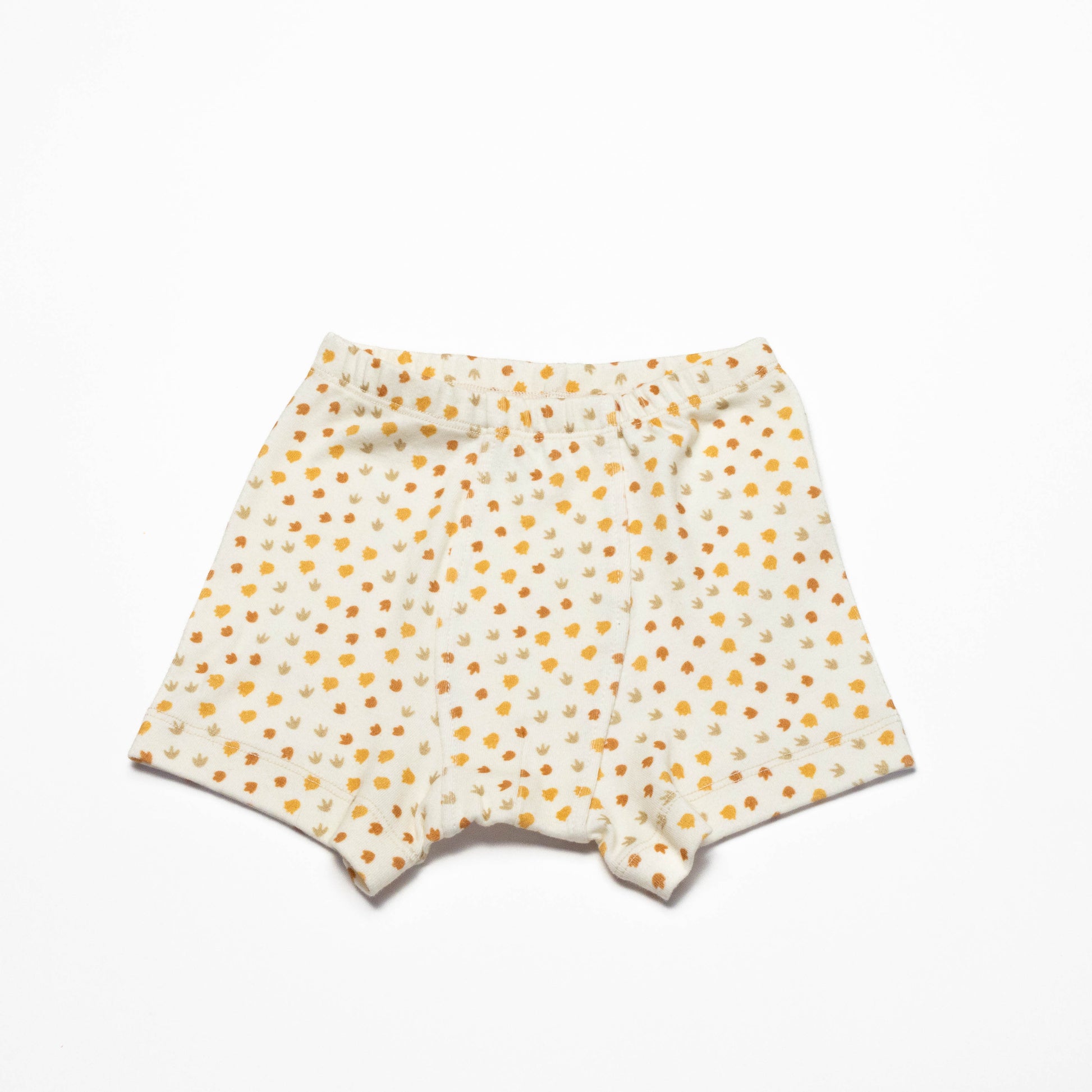 Pair of Organic Boxer Briefs with Dinosaurs and Dino's print  on a white background