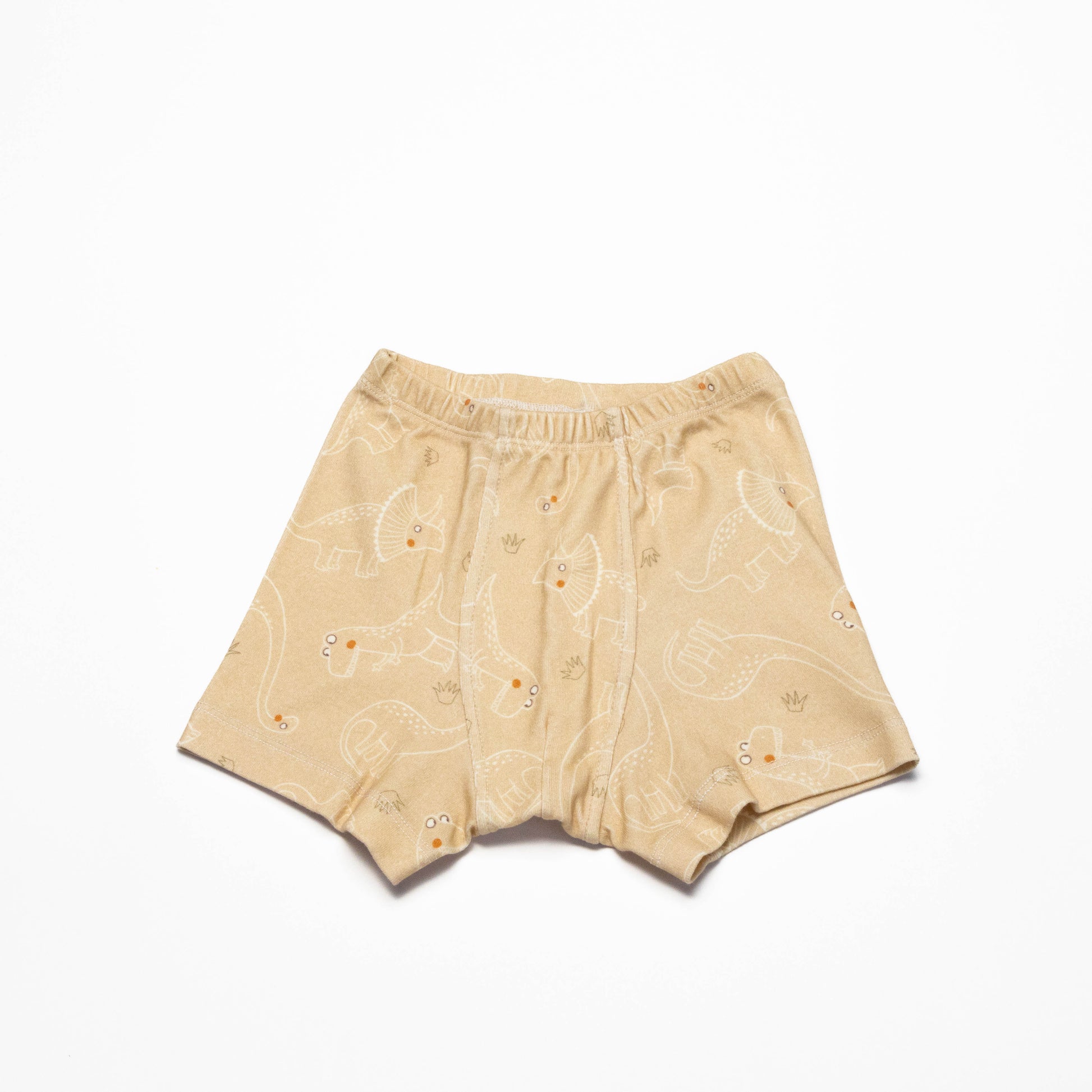 Pair of Organic Boxer Briefs with Dinosaurs and Dino's print  on a white background