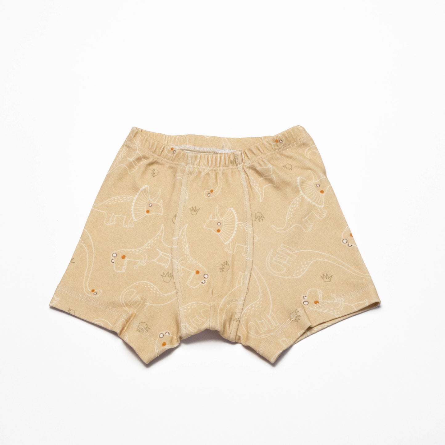 Organic Dinosaur Boxer Briefs for Boys (2 Pack)
