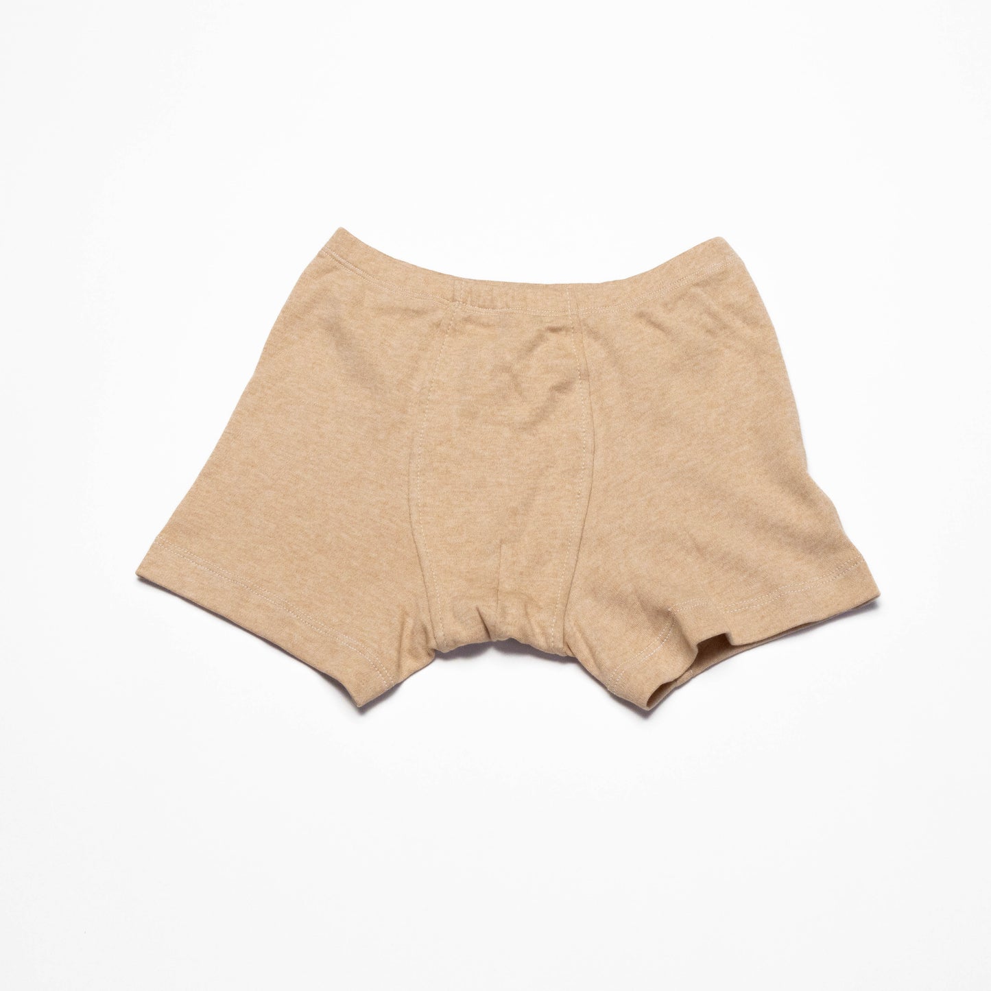 Organic Dinosaur Boxer Briefs for Boys (2 Pack)