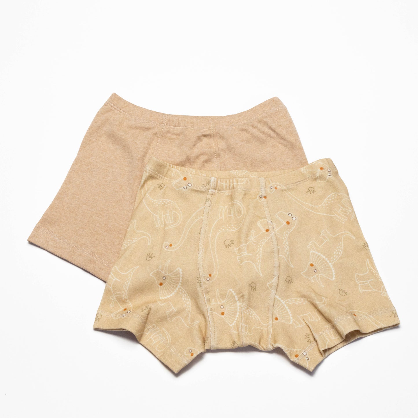 Organic Dinosaur Boxer Briefs for Boys (2 Pack)