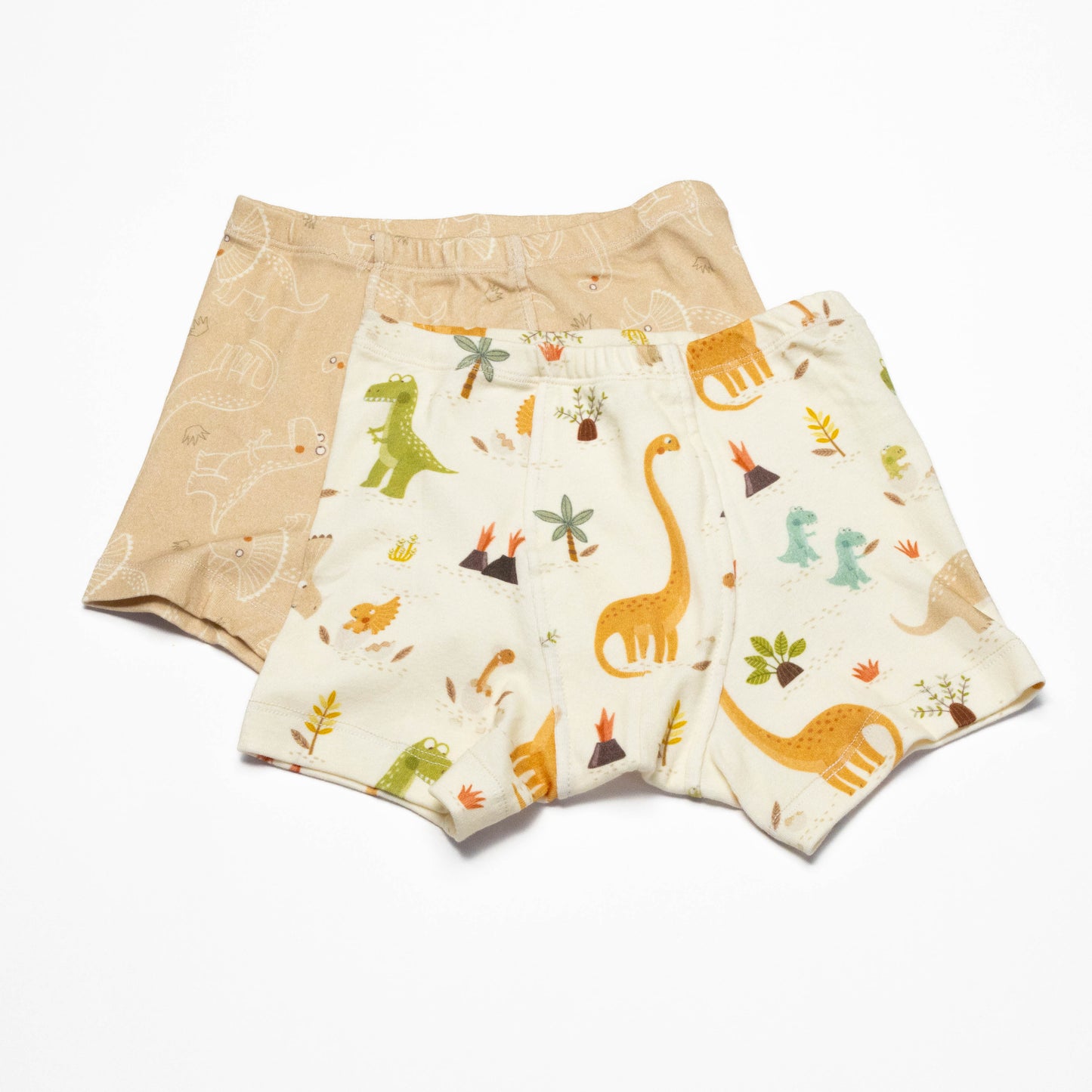 Organic Dinosaur Boxer Briefs for Boys – Size 8 (2 Pack)