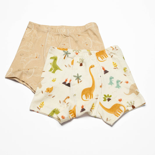 Organic Dinosaur Boxer Briefs for Boys – Size 8 (2 Pack)