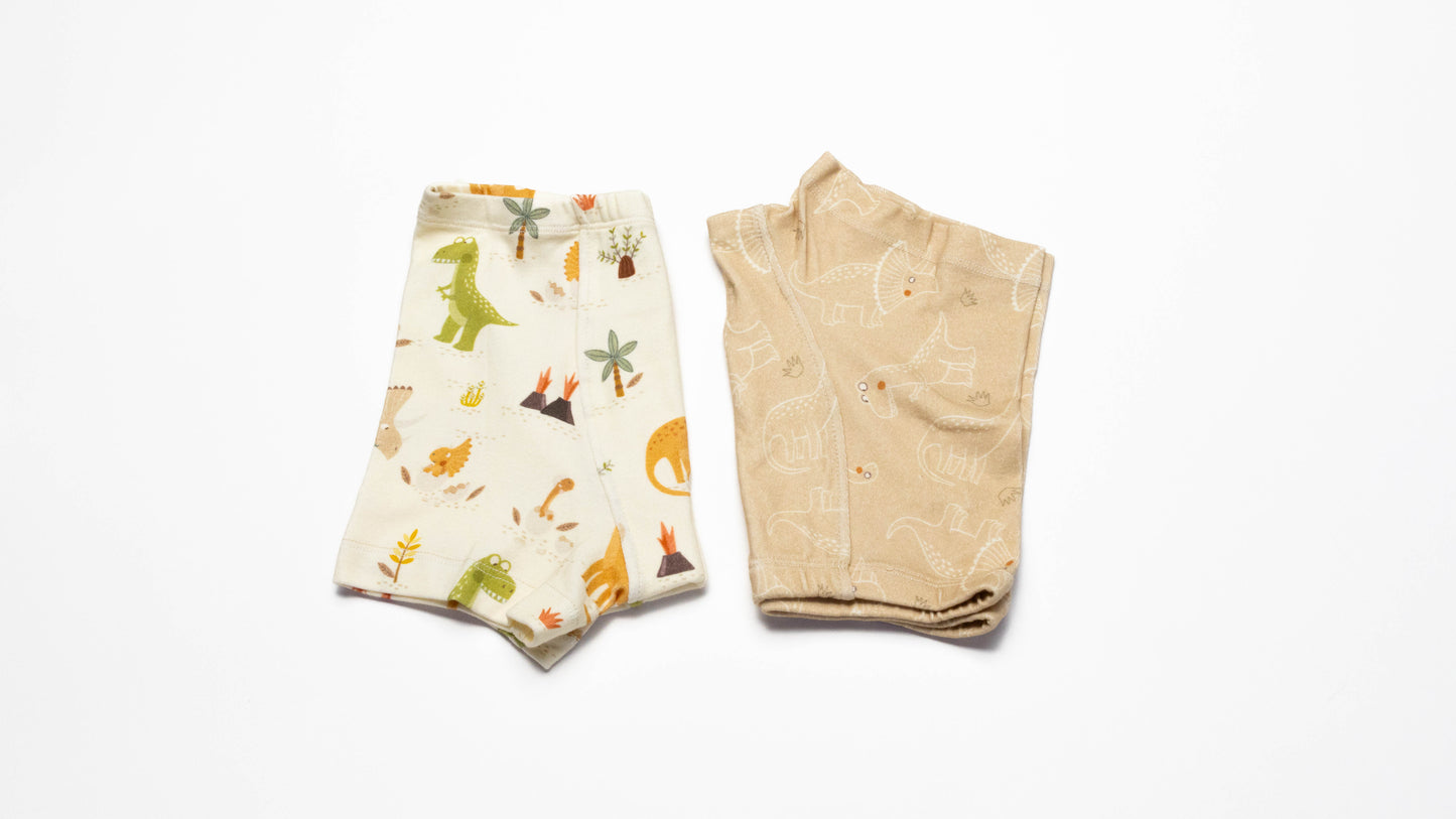Organic Dinosaur Boxer Briefs for Boys – Size 8 (2 Pack)