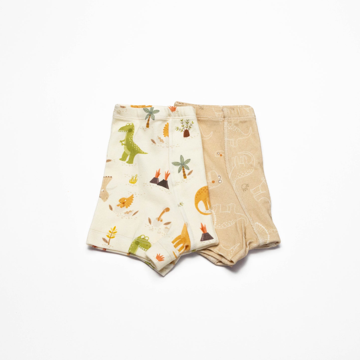 Organic Dinosaur Boxer Briefs for Boys – Size 8 (2 Pack)