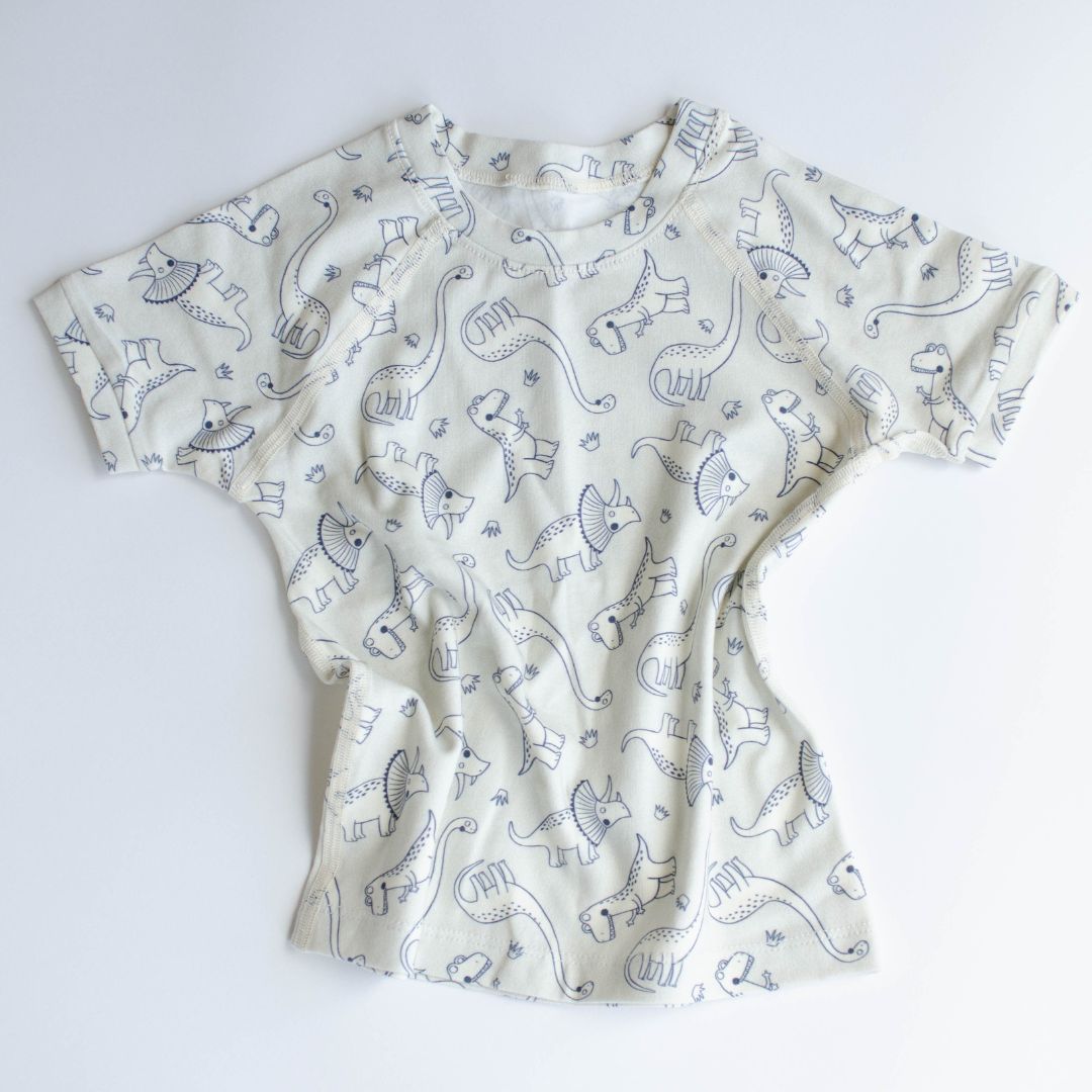 raglan top for toddlers size 2 with rice color dinosaurs.