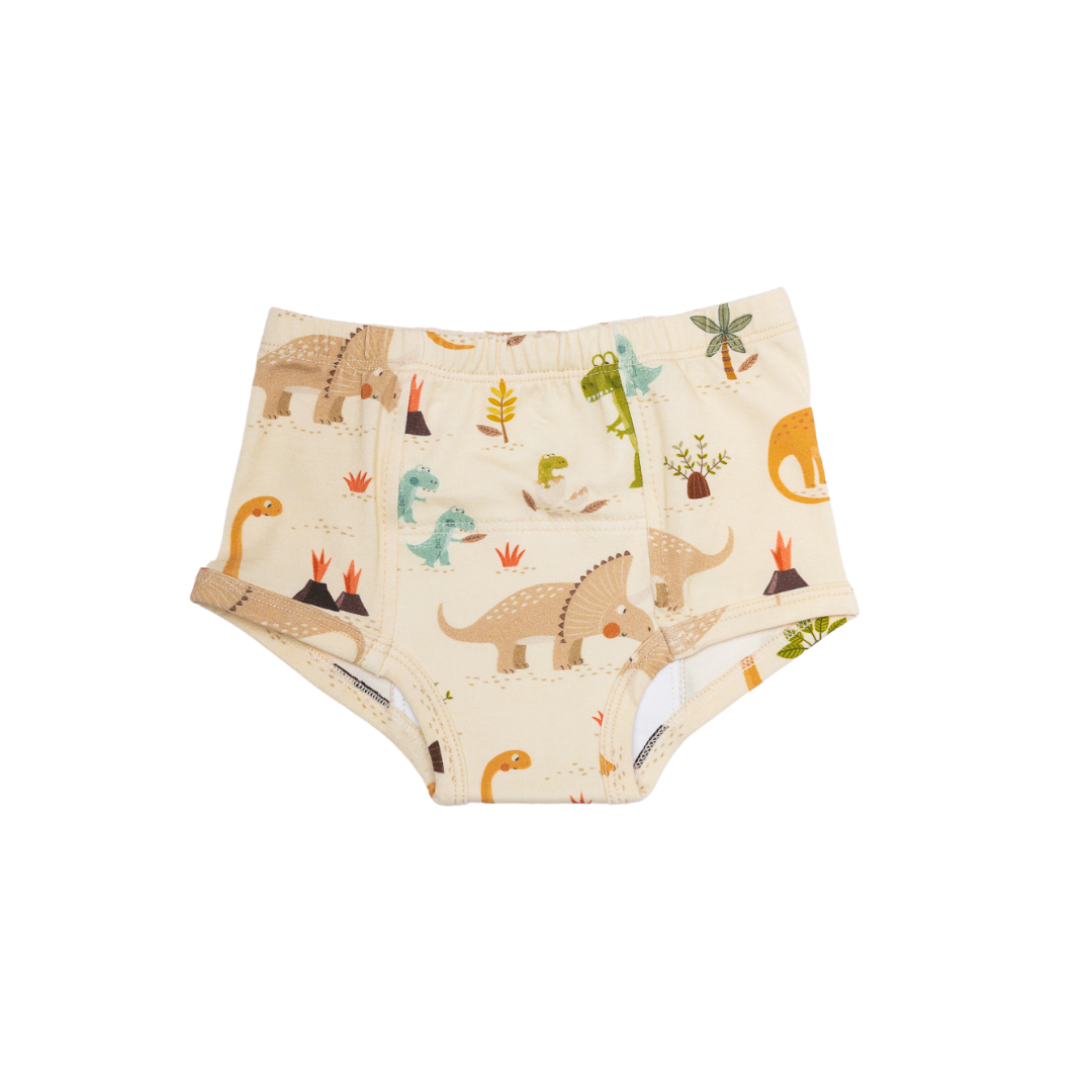 Four Potty Training Pants Dinosaur – MUKUPATI