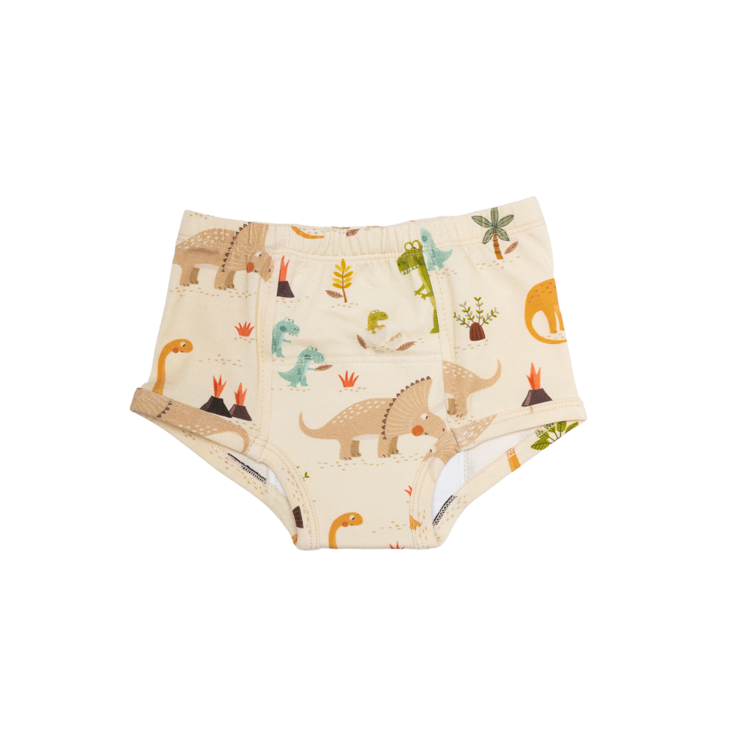Our organic cotton, non-toxic training underwear,  feature a hand-drawn illustrations of a heartwarming family of dinosaurs eagerly welcoming their newest member as the egg hatches. 