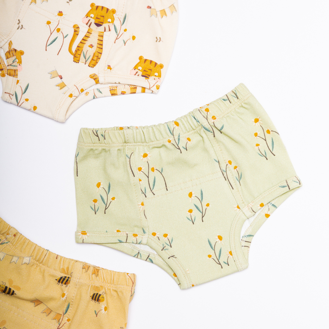 Potty Training Underwear