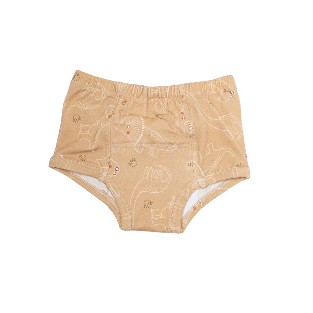 Potty Training Pants