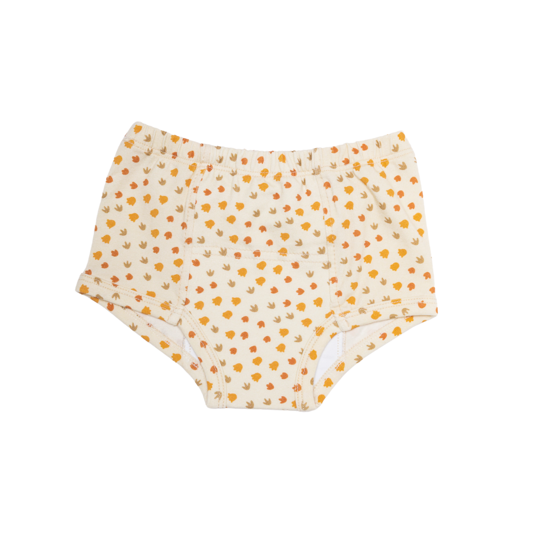 Potty Training Pants