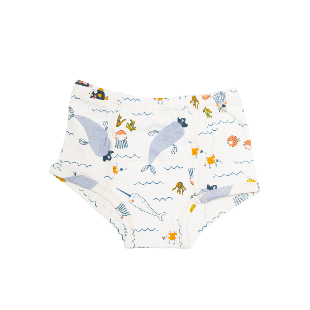 Potty Training Pants