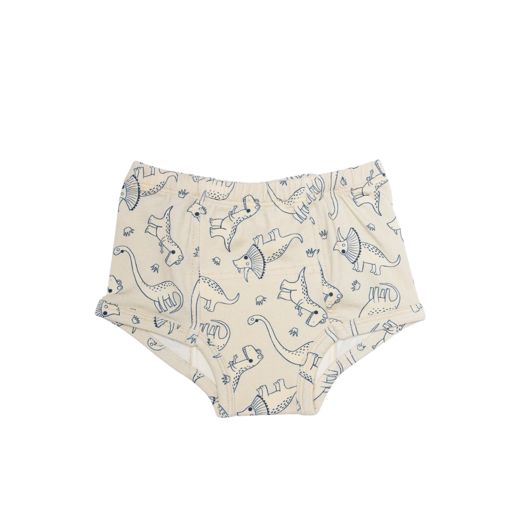 Dinosaurs Potty Training Pants