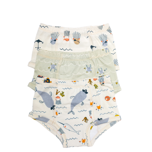 Potty Training Pants