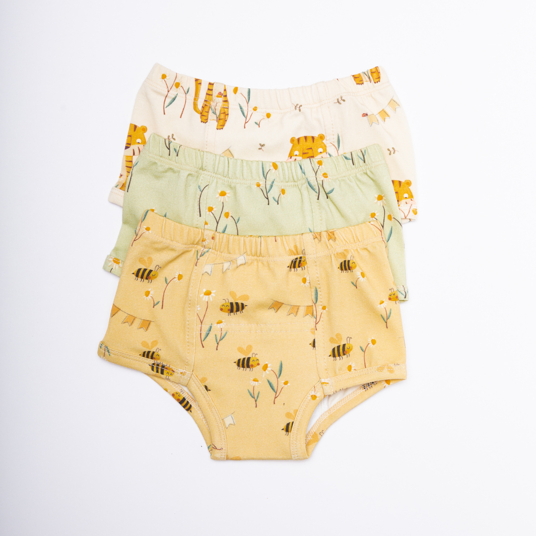 Potty Training Underwear