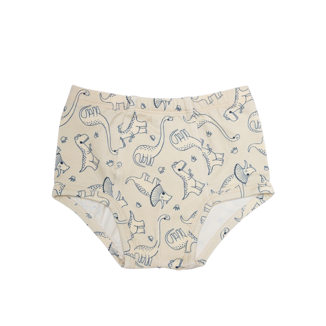 Four Organic Boys Briefs Dinosaur