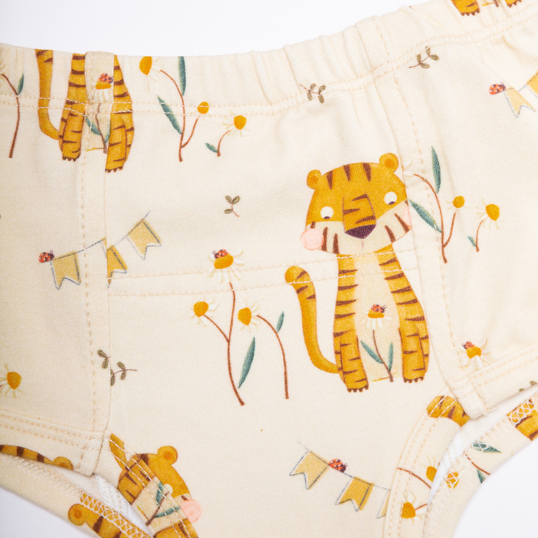 Potty Training Underwear