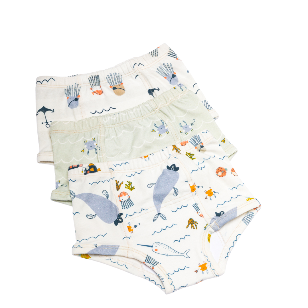 Organic Cotton Potty Training Underpants - Sea Breeze – Under the Nile