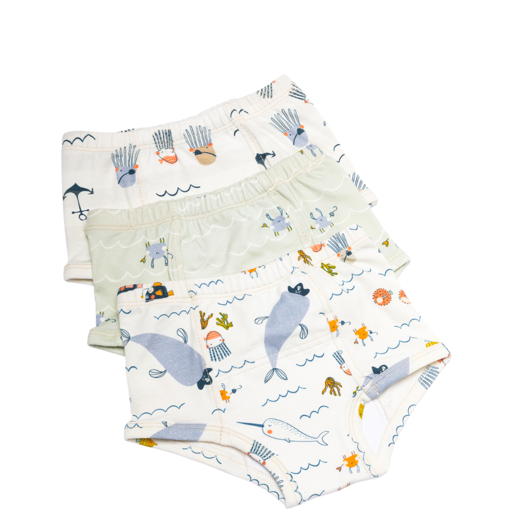 Potty Training Pants