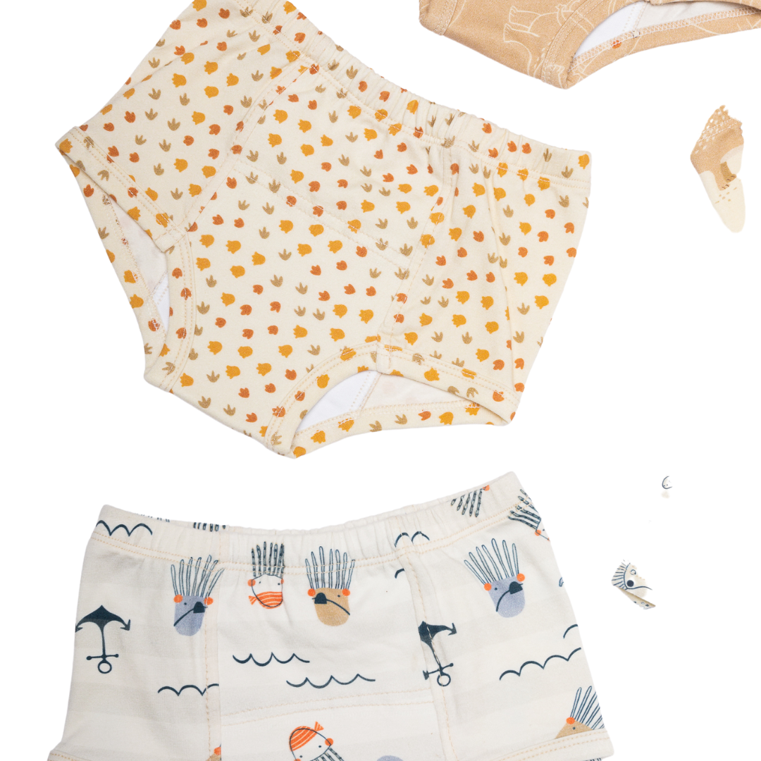Potty Training underpants